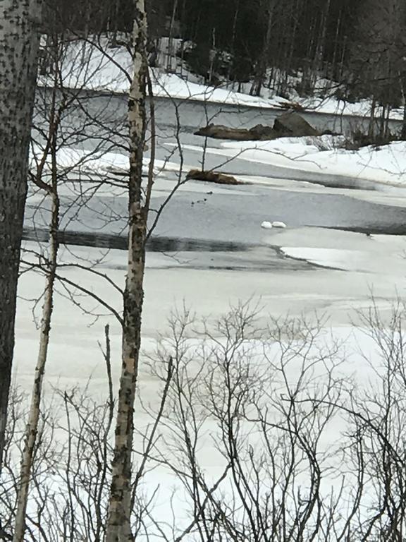 Villa Somosenranta Oikarainen Exteriör bild